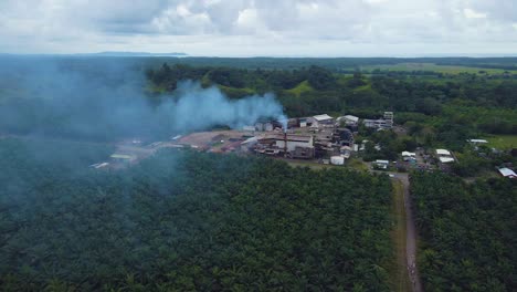 la chimenea humeante de la fábrica de procesamiento en medio de una plantación de palma