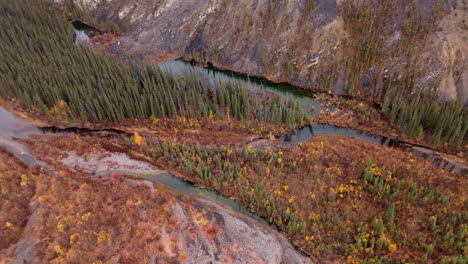 engineer creek and the ogilvie river in the yukon territory, canada. aerial drone shot