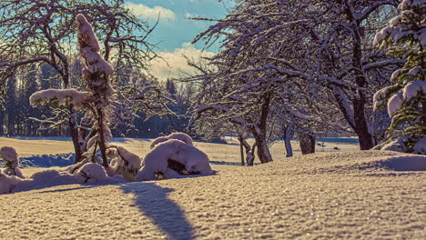 lapso de tiempo de la naturaleza de la nieve