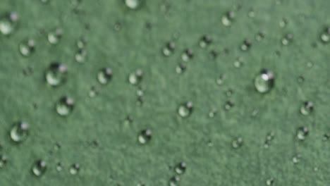 micro video of close up of water drops with copy space on green background