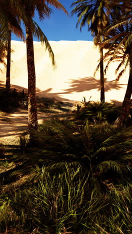 paisaje de oasis en el desierto