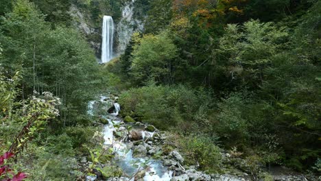 vue du haut d'une rivière dans la forêt