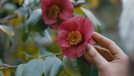 close up woman enjoying nature looking at beautiful pink flowers enjoying natural spring time beauty in garden park