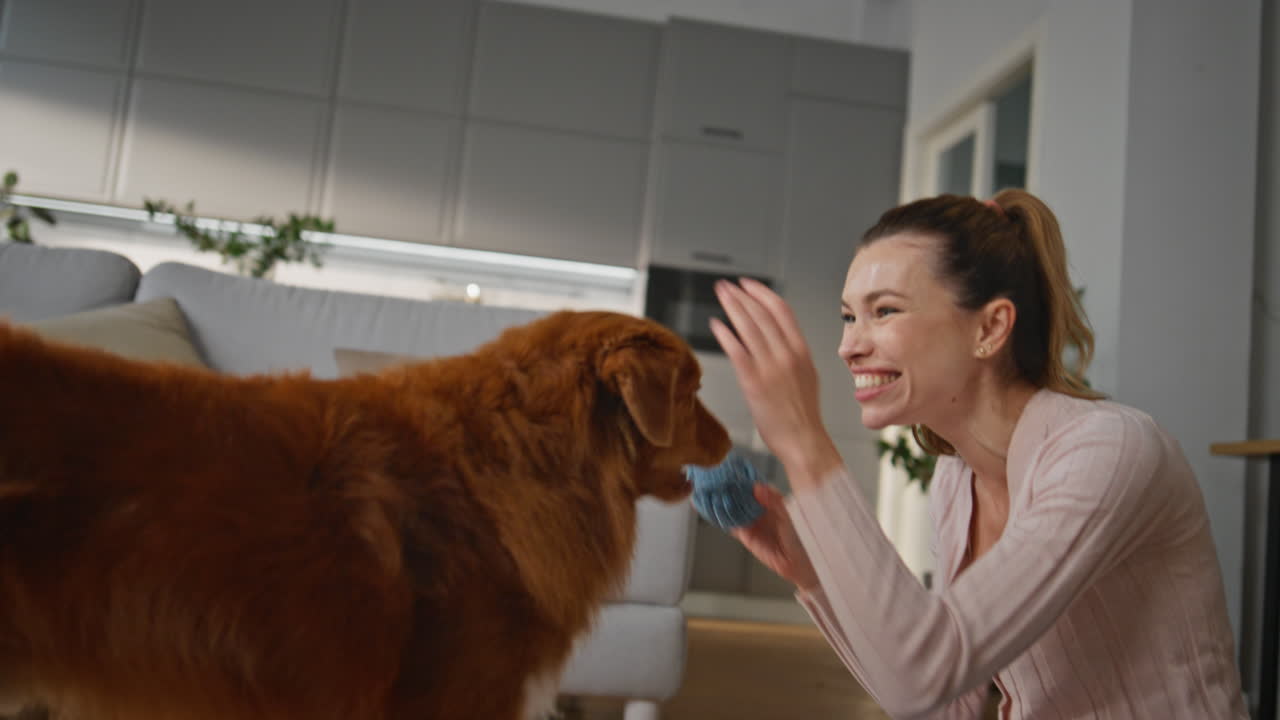 Dog catching toy ball playing with young woman at home. Girl training active pet