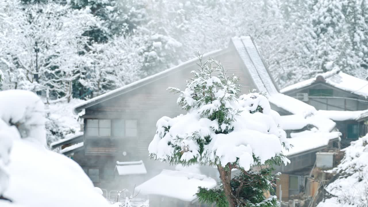 Immerse yourself in the tranquil beauty of Jigokudani Forest in Yamanouchi with this cinematic video showcasing traditional houses blanketed in snow.