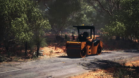 tractor de rodillos en el bosque