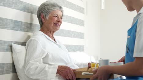 Nurse-bringing-food-to-senior-woman