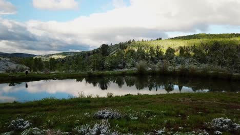 Drohnenaufnahme-Von-Schnee,-Der-Leicht-Entlang-Einer-Wiese-Abgestaubt-Ist