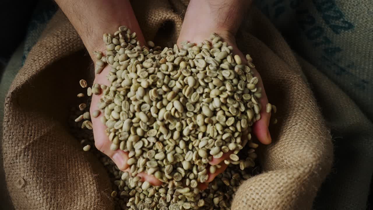 Hands holding green coffee beans over burlap sack
