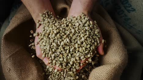 hands holding green coffee beans over burlap sack