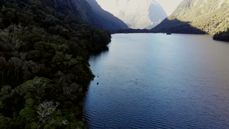 un hombre en una tabla de remo de sup navega por un hermoso lago de montaña remoto rodeado por el bosque de think en el parque nacional de fiordland en nueva zelanda.