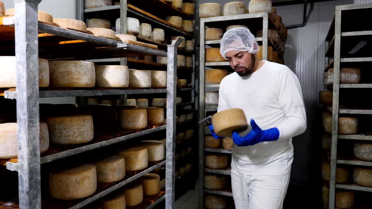 Diary cheese factory- cheese maker controls cheese seasoning