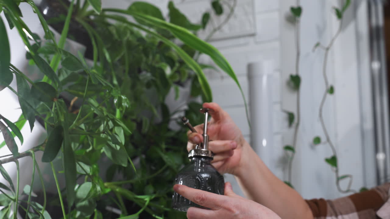 Close up hands of young woman pressing thumb on vintage glass sprayer to mist lush green foliage in serene indoor garden setting under soft morning light promoting plant hydration routine care