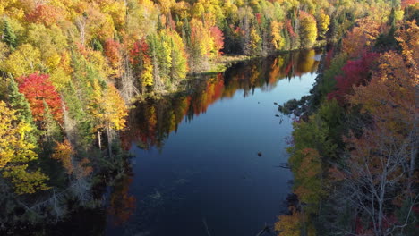 Un-Dron-Aéreo-Disparó-Rastreando-Un-Río-Río-Abajo-En-Un-Bosque,-El-Agua-Vidriosa-Y-Aún-Con-Un-Hermoso-Reflejo-De-Los-árboles-Naturales-Circundantes-En-Una-Pacífica-Mañana-De-Otoño