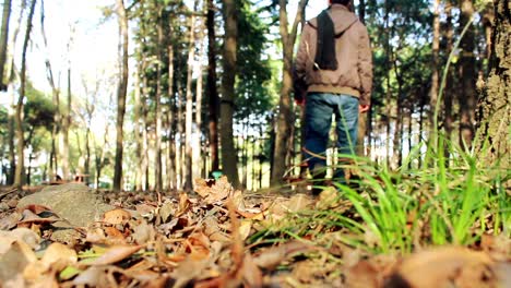 caminando por el bosque de otoño hombre solitario 4