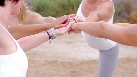 seis mujeres caucásicas de 40 años serenas de pie en círculo realizan la postura del árbol