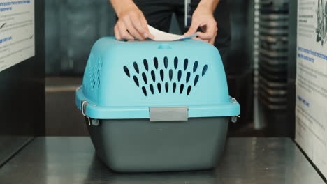 Pasting-a-Sticker-on-Pet-Carrier