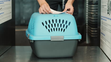 pasting a sticker on pet carrier