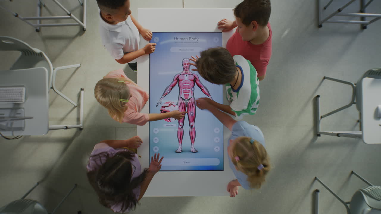 Children Learning About Human Anatomy with Interactive Display