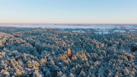 aerial establishing footage of trees covered with snow, sunny winter day before the sunset, golden hour, nordic woodland pine tree forest, baltic sea coast, wide drone shot moving backward