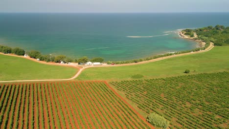croatia, stunning, aerial view of pebble beaches with a blue, turquoise sea and vineyard plantations, grapes