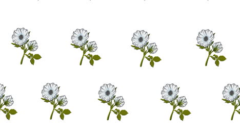 composición de filas de flores blancas que se mueven sobre un fondo blanco
