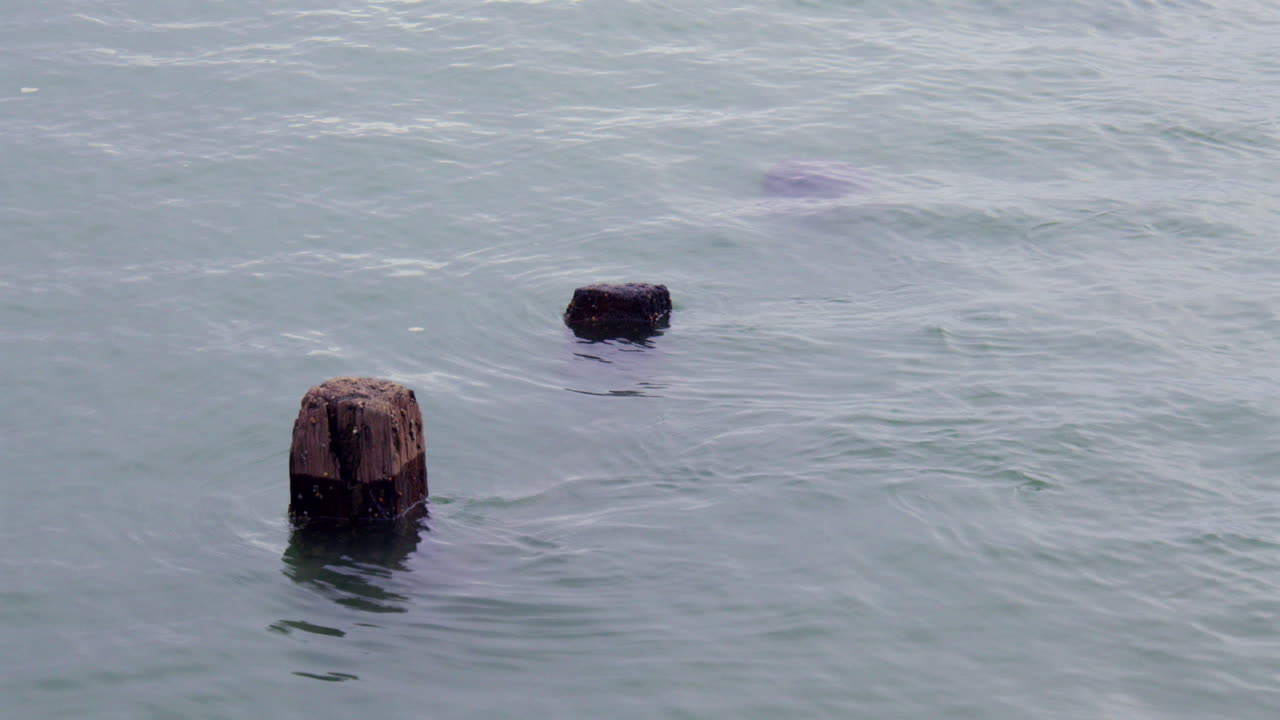 Shot of wooden groynes Disappearing at high tide at Shoreham harbour