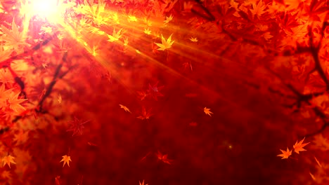 spin of autumn leaves,maple,cg animation,loop