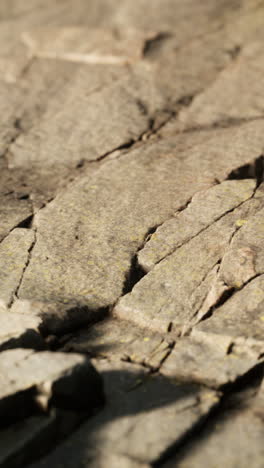 close-up of cracked stone texture