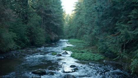 Drone-shot-flying-up-river-with-green-trees