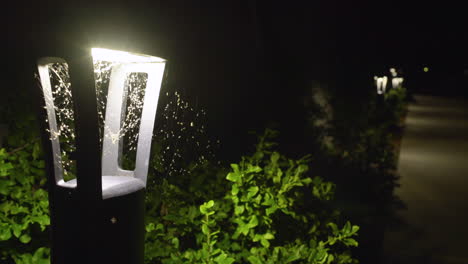 Small-pathway-lamp-covered-in-spider-webs-and-bugs