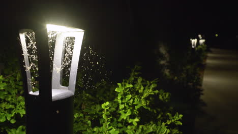 small pathway lamp covered in spider webs and bugs