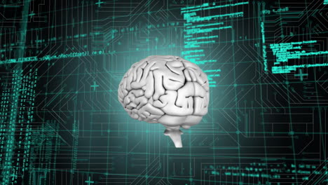 cerebro y un circuito digital con códigos de programa