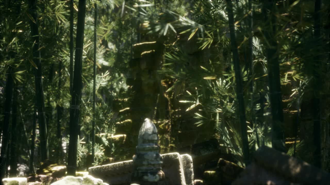 초록색 대나무 숲 에 있는 고대 건물 들 의 폐허