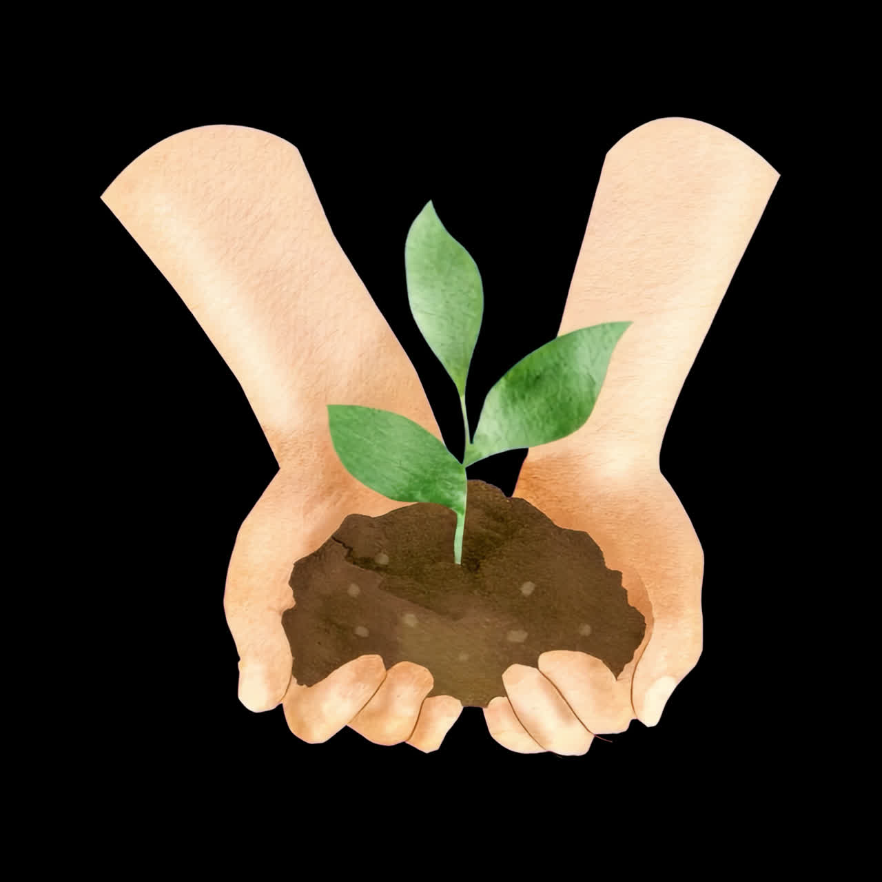 Growing plant in hands animation isolated asset, transparent 4K video, alpha channel, ProRes 4444