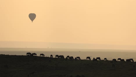 silhouette of a hot air balloon hovering in the golden light of dawn over a herd of grazing wildebeest in the masai mara, kenya