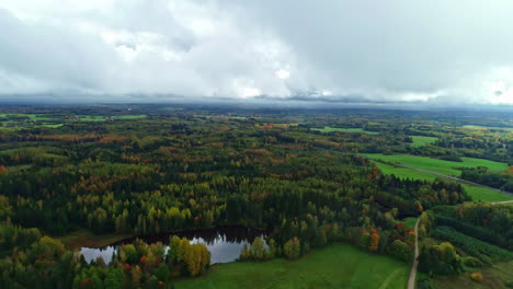 Üppig-Erhaltener-Waipoua-Waldpark-Im-Kauri-Wald-Neuseeland