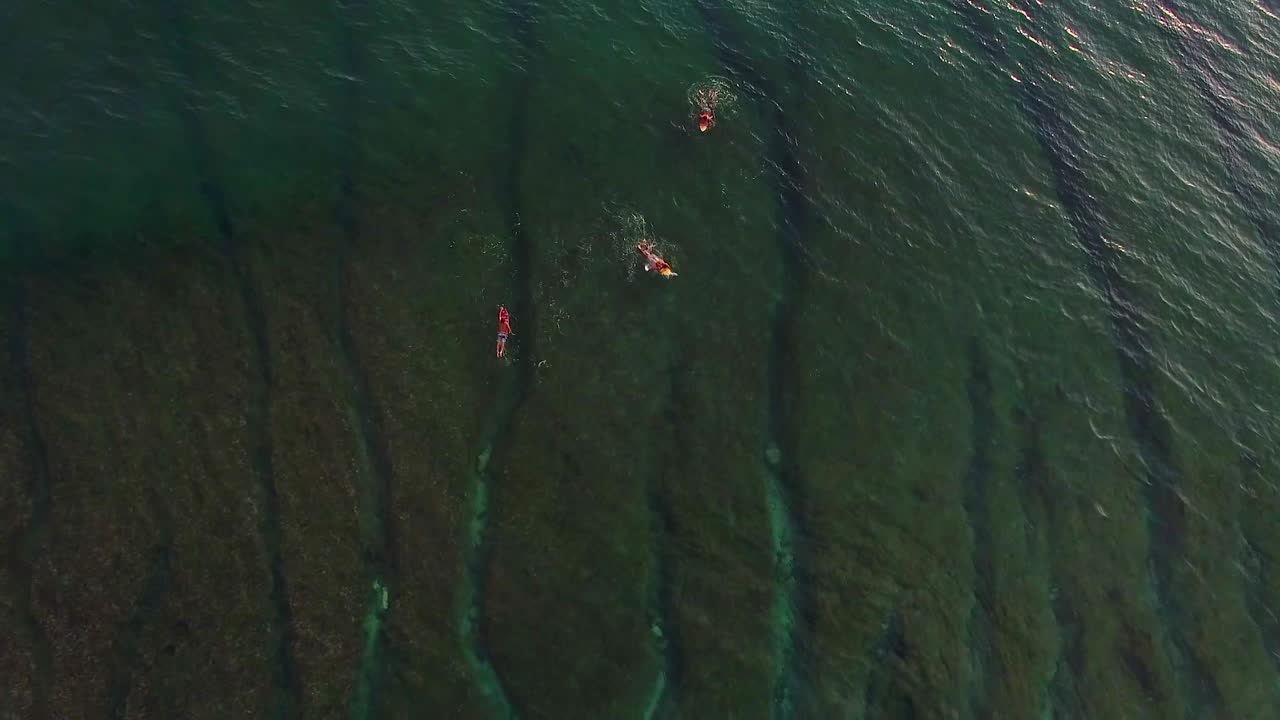 청록색 푸른 바다에서 서핑하는 남자