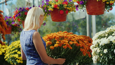 Frau-Betrachtet-Blumen-In-Einer-Gärtnerei