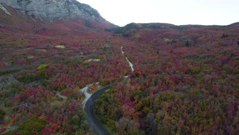 Breathtaking-Autumn-Fall-Colors-in-Forest-Mountain-in-Utah---Aerial