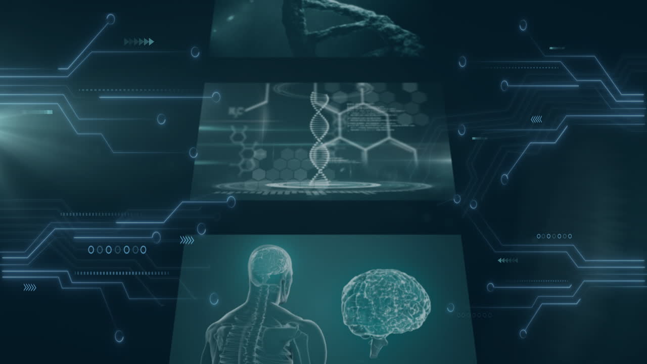 DNA strand and brain graphics over digital data processing animation