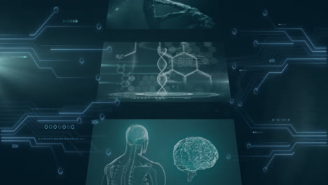 dna strand and brain graphics over digital data processing animation