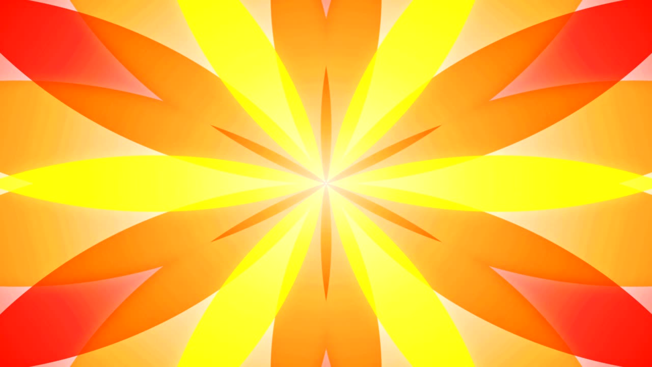 abstracto flores coloridas concepto de flora patrón simétrico ornamental decorativo caleidoscopio movimiento círculo geométrico y formas de estrellas