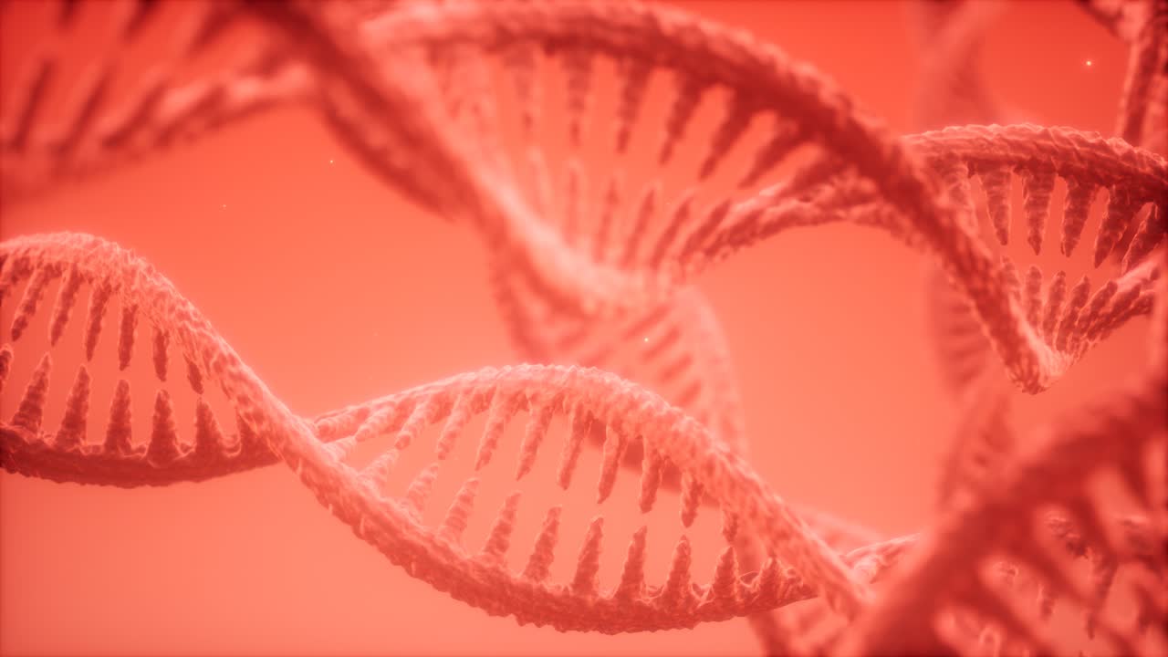 dna 이중 나선 애니메이션의 구조