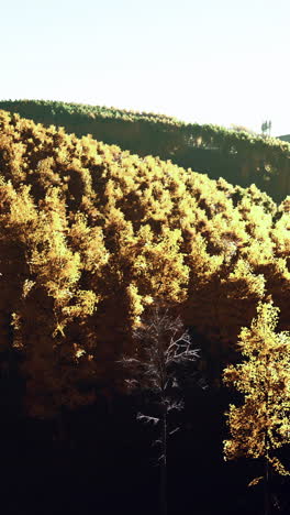 el bosque de otoño dorado