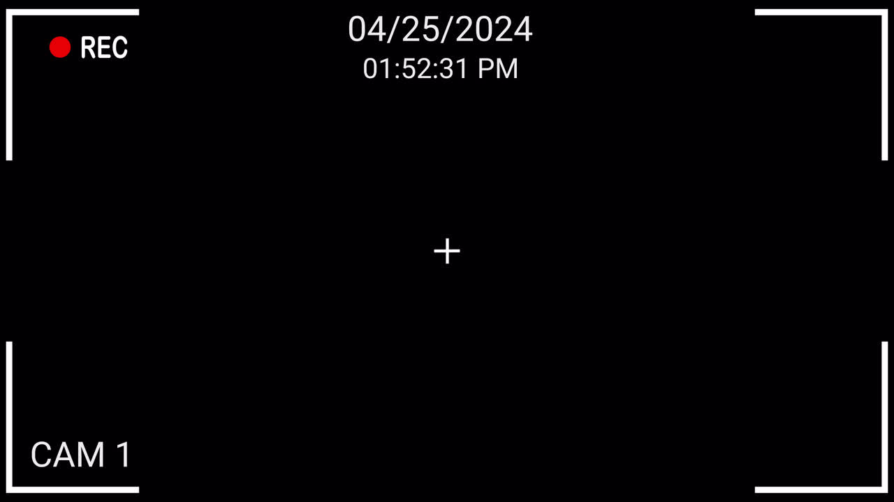 Digital Camera Recording Interface Overlay with Date and Time