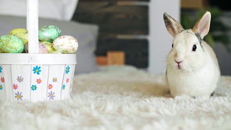 Conejo-De-Pascua-Y-Canasta-De-Huevos-De-Pascua