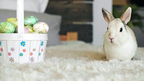 easter rabbit and basket of easter eggs