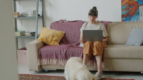 Frau-Arbeitet-Am-Laptop-Und-Streichelt-Hund-Im-Wohnzimmer