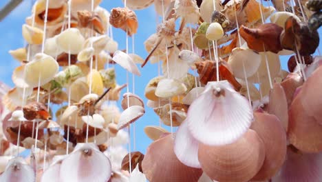 beautiful shell wind chime